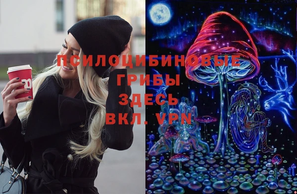 ГАЛЛЮЦИНОГЕННЫЕ ГРИБЫ Балахна