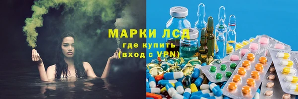 ГАЛЛЮЦИНОГЕННЫЕ ГРИБЫ Балахна