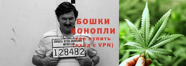 mix Пересвет