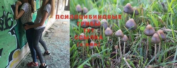 ГАЛЛЮЦИНОГЕННЫЕ ГРИБЫ Балахна