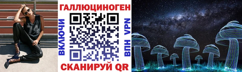 kraken tor  Белая Холуница  Псилоцибиновые грибы ЛСД 