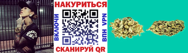 купить наркотик  Белая Холуница  Бошки Шишки тримм 